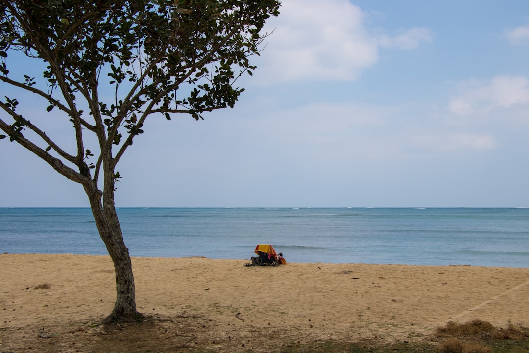 12 Easy Ways to Take Better Vacation Photos